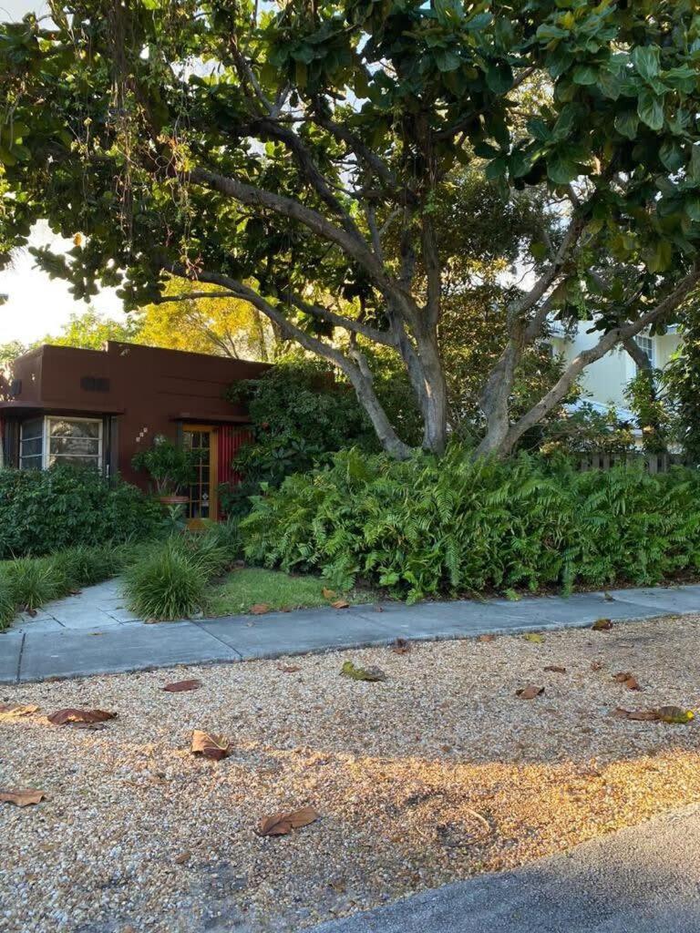 Delight And Cozy Apt Close To Las Olas & The Beach Fort Lauderdale Exterior foto
